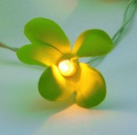 Green Frangipani Style - fairy lights